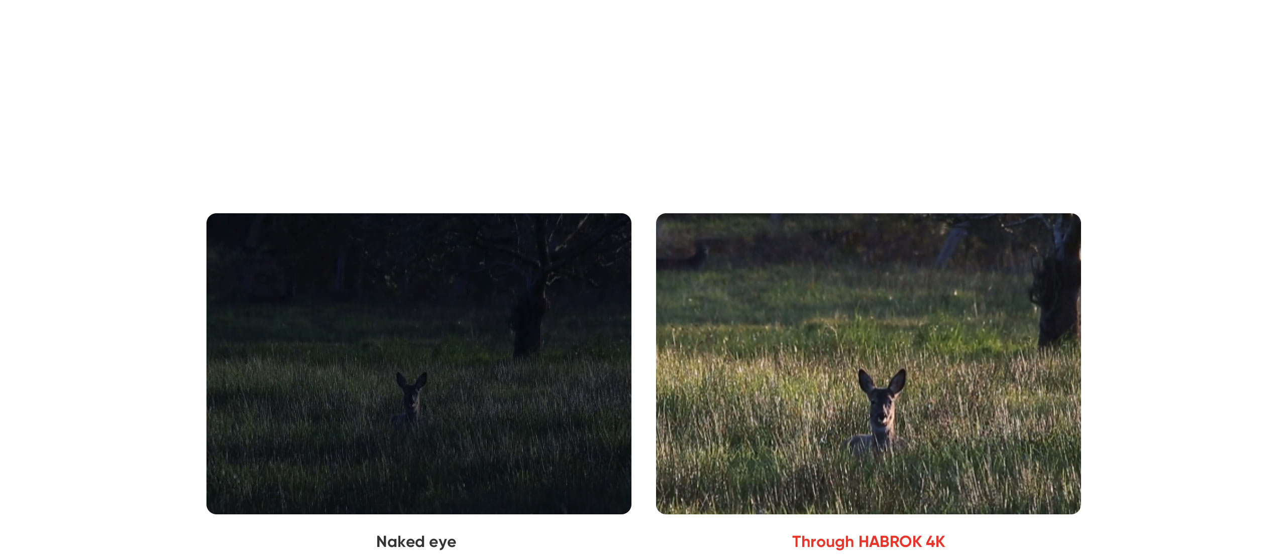 HABROK 4K Vivid Images at Twilight_2